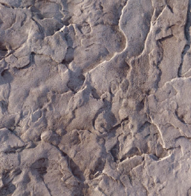 Motif béton imprimé Peau Romaine — CHRYSO