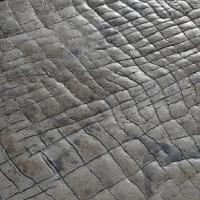 Motif béton imprimé Reptile — CHRYSO
